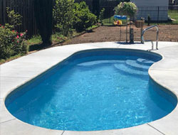 Kidney Shaped Swimming Pools Manufacturer in Ahmedabad