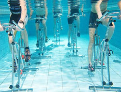 Wetfit Aqua Gym Manufacturer in Ahmedabad